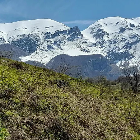 Gabriella Appartement *